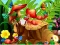 Hidden Objects Insects — free online game