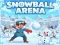SnowBall Arena
