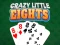 Crazy Little Eights — free online game