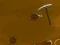 Dinosaur Digging — free online game