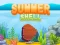 Summer Shell Summer Shell