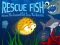 Rescue Fish — free online game