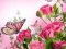Butterflies Puzzle — free online game