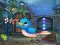 Singing Bird Escape — free online game