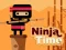 Ninja Time — darmowa gra online