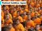 Gioco Thailand Buddhism Jigsaw in linea