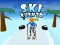 Ski Rush 3d — free online game