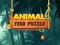 Animal Feed Puzzle