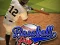 Baseball Pro  — free online game