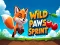 Wild Paws Sprint