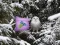 Winter Wonderland Forest Adventure — joc online gratuit