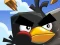 Crazy Birds — free online game