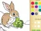 Bunny Coloring Book For Kids