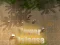 Tower Defense — free online game
