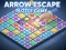 Arrow Escape Puzzle Game