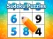 Sudoku Puzzles