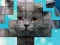 PicPu Cat  — free online game