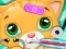 Doctor Pets — free online game