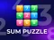 Sum Puzzle: Arithmetic — free online game