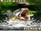 Backwater Fishing — free online game
