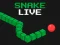 Cluiche Snake Live ar líne