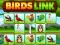 BIRDS LINK — free online game