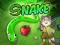 Snake — free online game