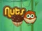 Nuts — free online game
