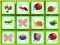 Find The Insect — free online game