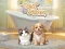 Pet Salon — free online game