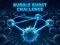Igra Bubble Burst Challenge spletu