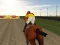 Horse Rider — free online game