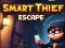 Smart Thief Escape