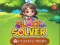 Block Solver