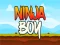 Ninja Boy — free online game