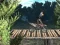 Bike Trial Xtreme Forest — free online game
