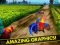 Angry Rooster Run Subway — free online game