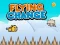 Flying Change