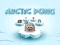 Arctic Pong — free online game
