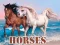 Horses — free online game