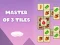 Master of 3 Tiles