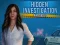 Hidden Investigation: Who Did It — free online game