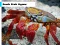 Beach Crab Jigsaw — free online game