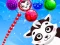 Raccoon Rescue — free online game