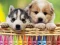 Puppy Coloring — free online game