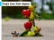 Xogo Frog's Love Pair Jigsaw en liña