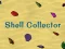 Shell Collector — free online game