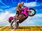 Crazy Wheelie Motorider — darmowa gra online