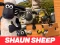 Shaun the Sheep Jigsaw Puzzle — free online game