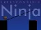 Irresponsible ninja — free online game